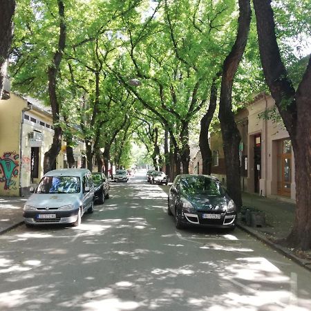 Apartman Park Σουμπότικα Εξωτερικό φωτογραφία