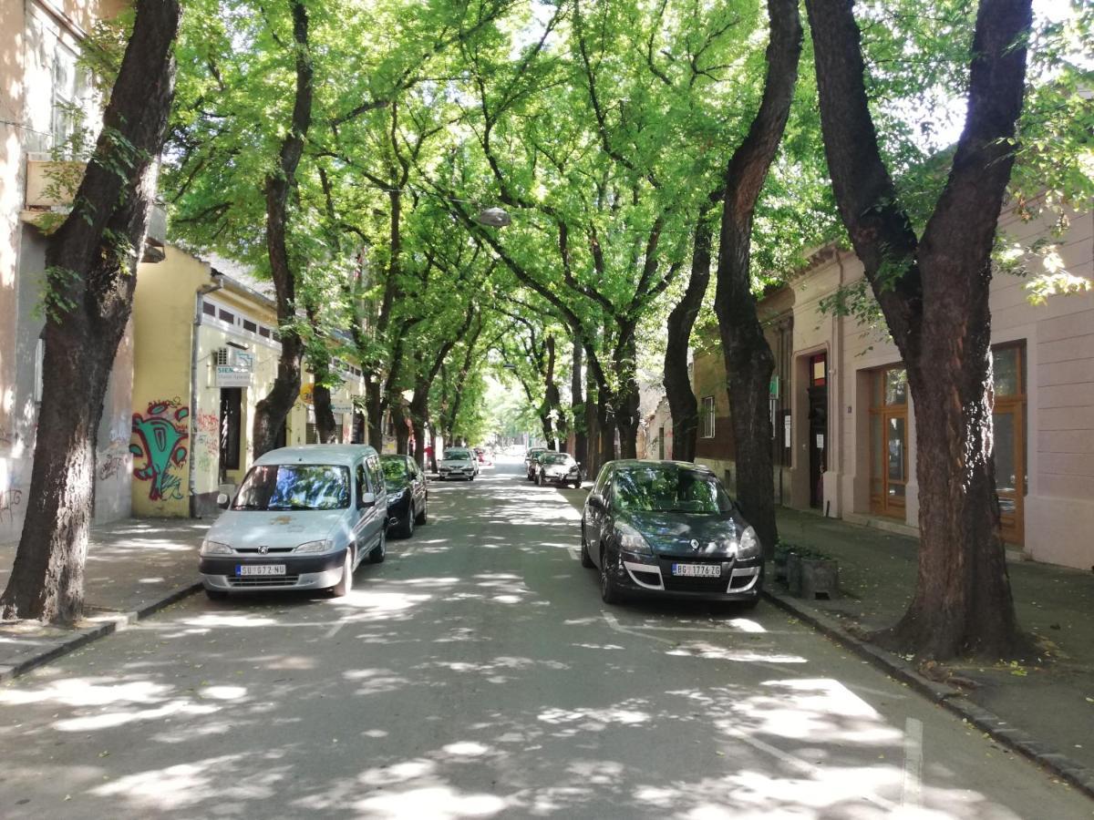 Apartman Park Σουμπότικα Εξωτερικό φωτογραφία
